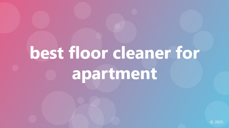 best floor cleaner for apartment