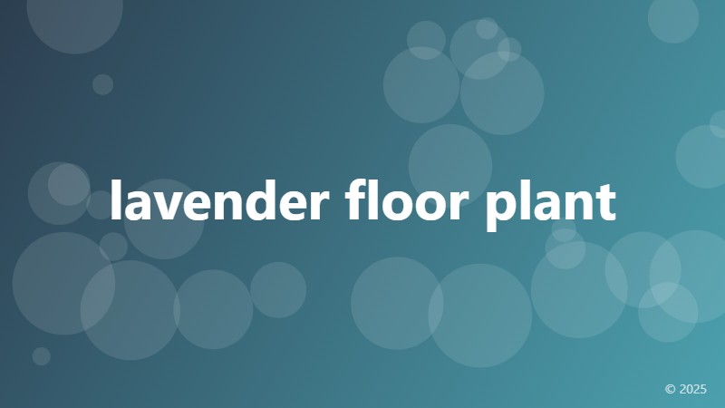 lavender floor plant