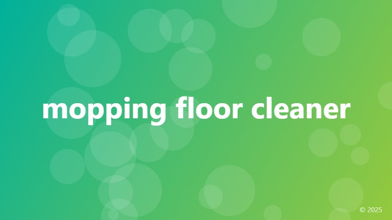 mopping floor cleaner