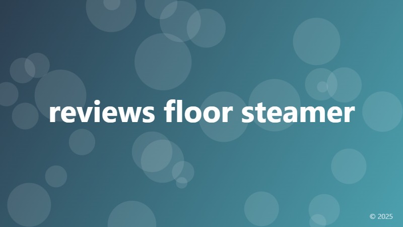 reviews floor steamer